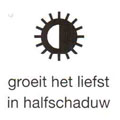 halfschaduw